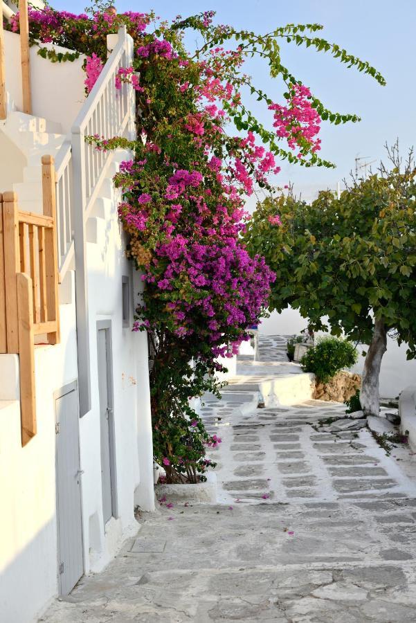 Marietta'S Apartment Mykonos Town ภายนอก รูปภาพ